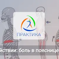 Анатомические поезда в действии: боль в пояснице при переднем наклоне таза