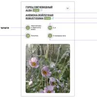 Гид Вау-цветники для зон зимостойкости от 2 до 8