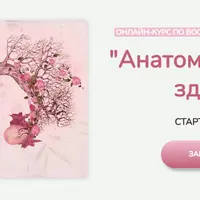 Анатомия интимного здоровья