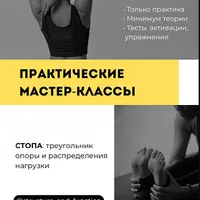 Стопа: треугольник опоры и распределения нагрузки