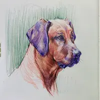 Графика цветными ручками