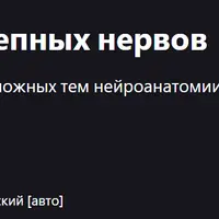 Упрощенная анатомия черепных нервов