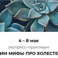 Рушим мифы про холестерин