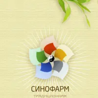 Восемь чудесных сосудов: синдромы поражения и методы лечения