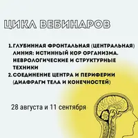 Глубинная фронтальная линия: истинный КОР организма. Неврологические и структурные техники