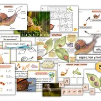Проект Улитка