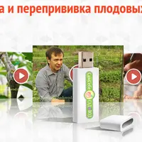 Прививка и перепрививка плодовых деревьев