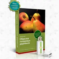 Обрезка плодовых деревьев