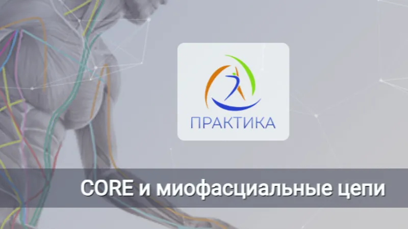 Core и миофасциальные цепи