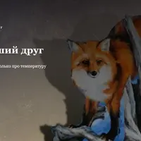 Холод - лучший друг