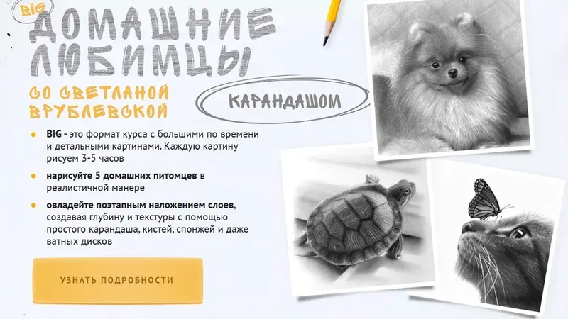 Домашние любимцы