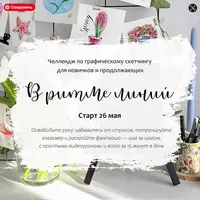 В ритме линий. Челлендж по графическому скетчингу