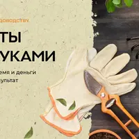 Сад мечты своими руками