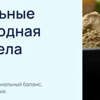 Функциональные грибы: природная поддержка тела и эмоций