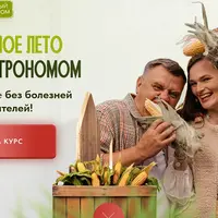 Урожайное лето и лечебный курс