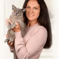 Ласковая кошка