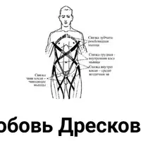 Человек как система