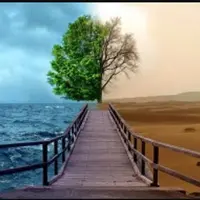 Ба-цзы в действии