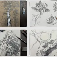 Деревья в графике