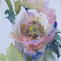 Акварельные пионы