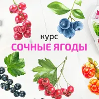 Акварель. Абонемент из 15 курсов