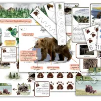 Бурый медведь