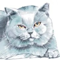 Скетчинг маркерами. Рисуем котов