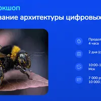 Проектирование архитектуры цифровых платформ