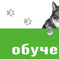 Машинное обучение в Python. Подписка на контент (февраль 2026)