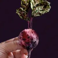 Овощи из шелка и бархата