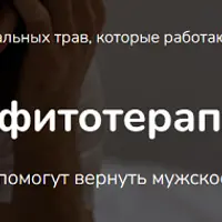 Комплексная фитотерапия простатита