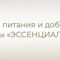 Эссенциалист. Протокол питания и добавок