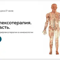 Рефлексотерапия. Часть 1