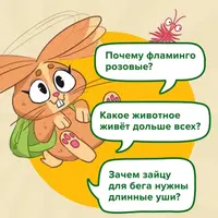 Игра в дорогу. Квиз Животные