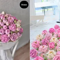 Зефирная флористика. Пионы