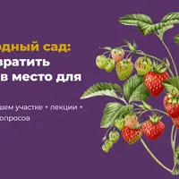 Малоуходный сад: как превратить участок в место для отдыха