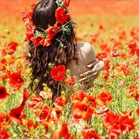 Формула стройности Доктора Полякова