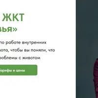 Котёл здоровья: мини-курс по ЖКТ