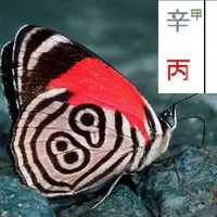 Выбор профессии по Ци Мень. Вебинар 2