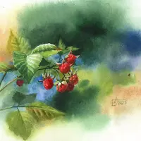 Лесные прогулки