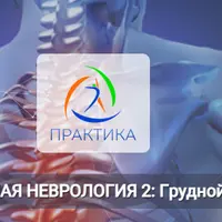 Прикладная неврология 2: грудной отдел