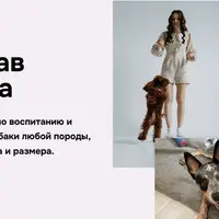 Гав-гав школа