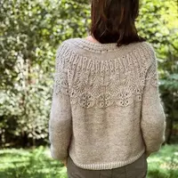 Вязаный пуловер с круглой ажурной кокеткой Ipazia