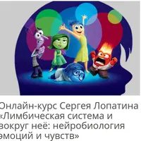 Лимбическая система и нейробиология мотиваций