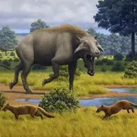 Эволюция млекопитающих: суша, море и небо