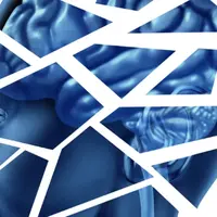 Травматизмы, (де) символизация, память