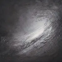 Черно-белый курс