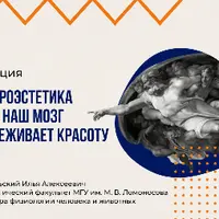 Нейроэстетика, или как наш мозг переживает красоту