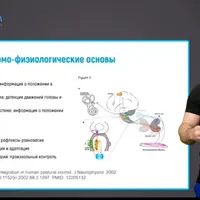 Постуральный контроль