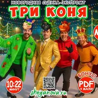 Новогодняя музыкальная сказка Три коня